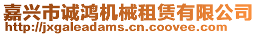 嘉興市誠鴻機械租賃有限公司