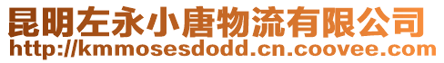 昆明左永小唐物流有限公司