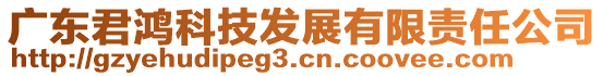 廣東君鴻科技發(fā)展有限責任公司