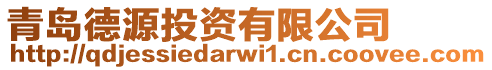 青島德源投資有限公司