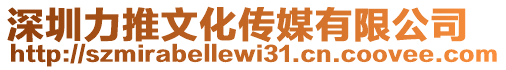 深圳力推文化傳媒有限公司