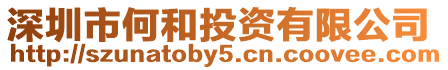 深圳市何和投資有限公司