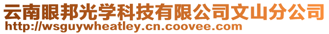 云南眼邦光學科技有限公司文山分公司