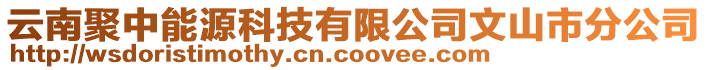 云南聚中能源科技有限公司文山市分公司