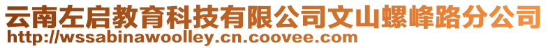 云南左啟教育科技有限公司文山螺峰路分公司