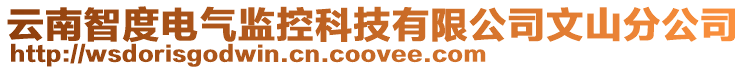云南智度電氣監控科技有限公司文山分公司