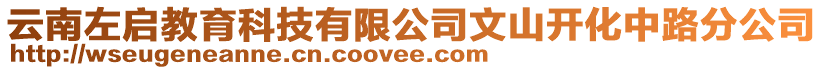 云南左啟教育科技有限公司文山開化中路分公司