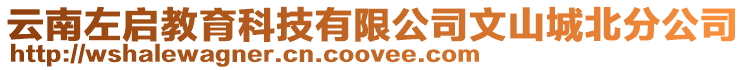 云南左啟教育科技有限公司文山城北分公司