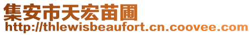 集安市天宏苗圃