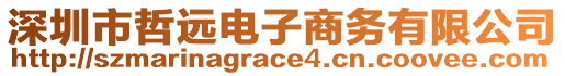 深圳市哲遠(yuǎn)電子商務(wù)有限公司