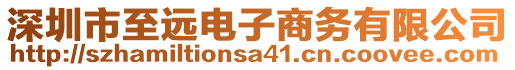 深圳市至遠(yuǎn)電子商務(wù)有限公司