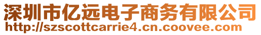 深圳市億遠電子商務(wù)有限公司