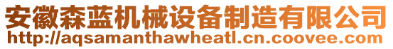 安徽森藍機械設備制造有限公司