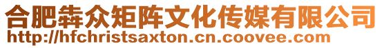 合肥犇眾矩陣文化傳媒有限公司