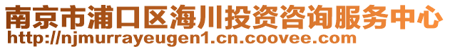 南京市浦口區海川投資咨詢服務中心