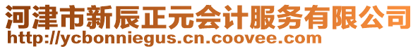 河津市新辰正元會(huì)計(jì)服務(wù)有限公司