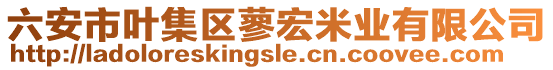 六安市葉集區(qū)蓼宏米業(yè)有限公司