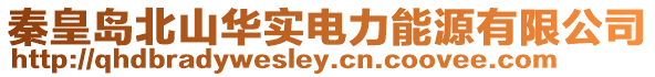 秦皇島北山華實電力能源有限公司