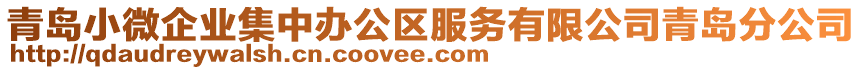 青島小微企業(yè)集中辦公區(qū)服務(wù)有限公司青島分公司