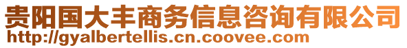 貴陽國大豐商務(wù)信息咨詢有限公司