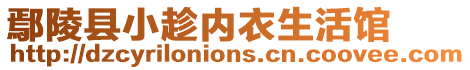 鄢陵縣小趁內(nèi)衣生活館