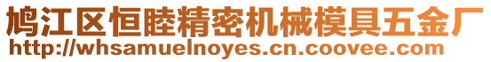 鳩江區恒睦精密機械模具五金廠