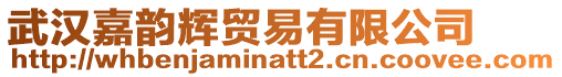 武漢嘉韻輝貿易有限公司