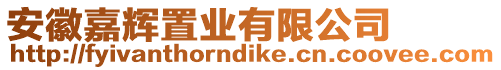 安徽嘉輝置業(yè)有限公司