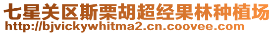 七星關區斯栗胡超經果林種植場