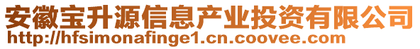 安徽寶升源信息產業投資有限公司