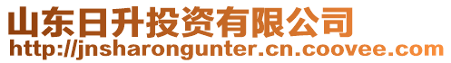 山東日升投資有限公司