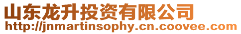山東龍升投資有限公司