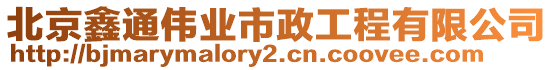 北京鑫通偉業市政工程有限公司