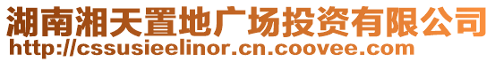 湖南湘天置地廣場投資有限公司