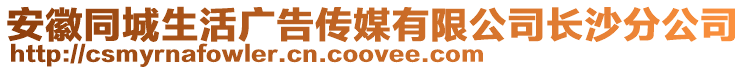 安徽同城生活廣告?zhèn)髅接邢薰鹃L沙分公司