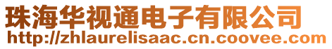 珠海華視通電子有限公司