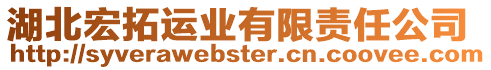 湖北宏拓運(yùn)業(yè)有限責(zé)任公司