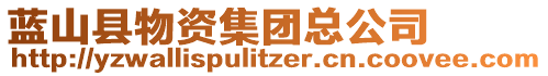 藍(lán)山縣物資集團(tuán)總公司