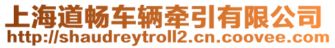 上海道暢車輛牽引有限公司