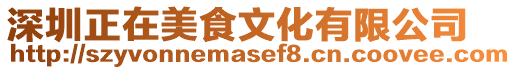 深圳正在美食文化有限公司