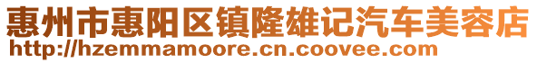 惠州市惠陽區(qū)鎮(zhèn)隆雄記汽車美容店