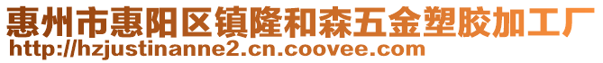 惠州市惠陽(yáng)區(qū)鎮(zhèn)隆和森五金塑膠加工廠