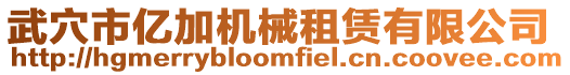 武穴市億加機械租賃有限公司