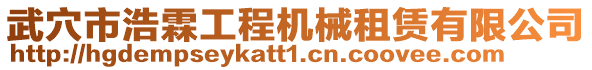 武穴市浩霖工程機(jī)械租賃有限公司