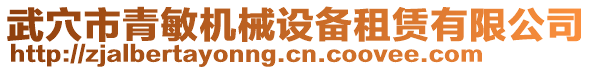 武穴市青敏機械設備租賃有限公司