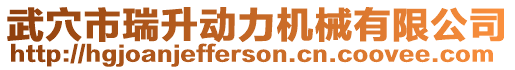武穴市瑞升動力機械有限公司