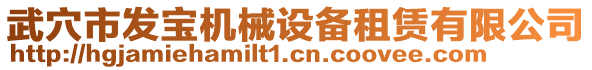 武穴市發(fā)寶機械設(shè)備租賃有限公司