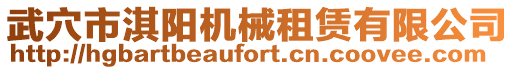 武穴市淇陽機械租賃有限公司