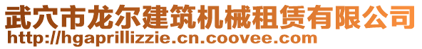 武穴市龍爾建筑機(jī)械租賃有限公司