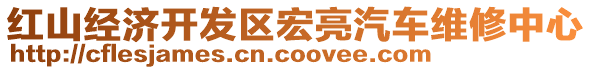 紅山經(jīng)濟(jì)開(kāi)發(fā)區(qū)宏亮汽車維修中心